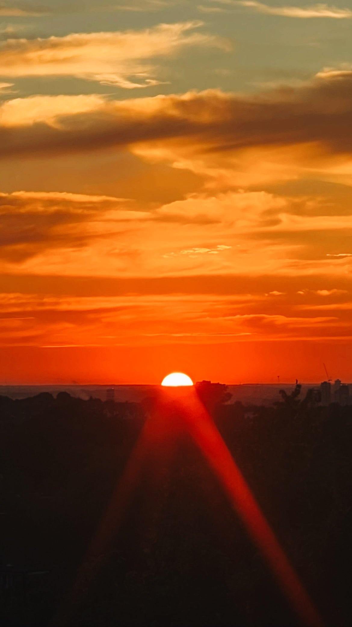 Golden Hour (Mandarine + Patchouli + Ylang Ylang) | Bernsteinfarbene Kerze im Glas