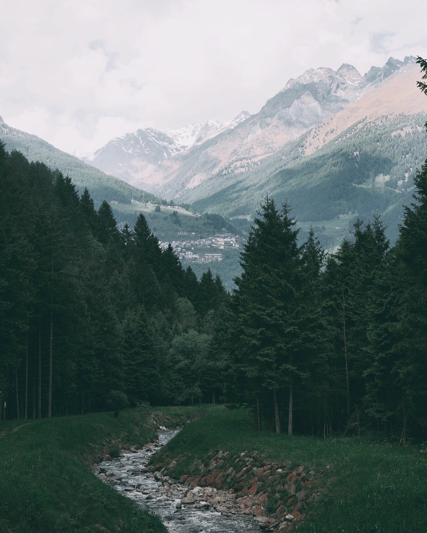 Restore (Bergamotte + Minze + Rosmarin) | Bernsteinfarbene Kerze im Glas