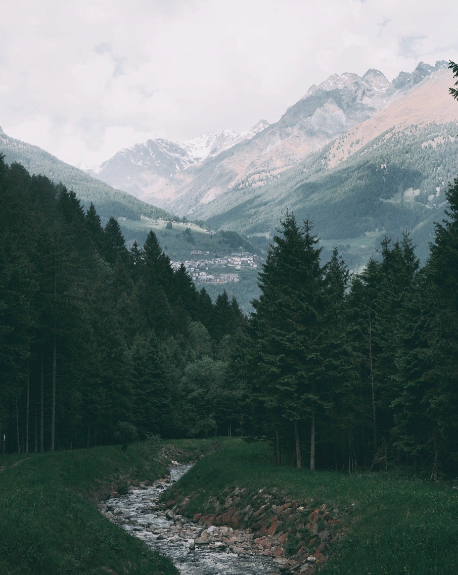 Collection Automne-Hiver